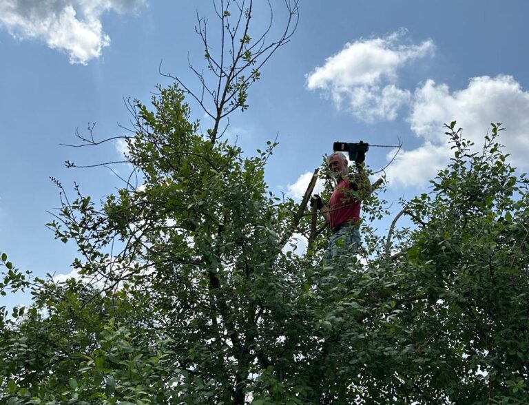 Renovierung des Boulodrome 2025